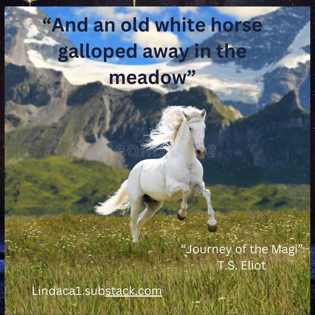 A White Horse