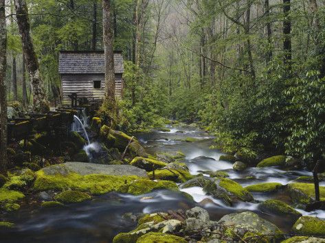 A Stream and a Waterfall